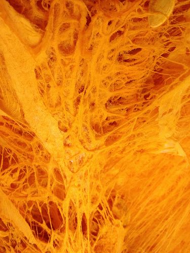 Pumpkin Guts, Halloween Inspo, Natural Landmarks