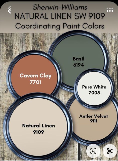 Western Home Paint Ideas, Western Living Room Color Scheme, Western Paint Colors For Bedroom, Cozy Cabin Color Scheme, Paint Colors For Western Bedroom, Rustic Home Color Palette, Primitive Color Palette, Western Kitchen Colors Schemes, Western Room Wall Color