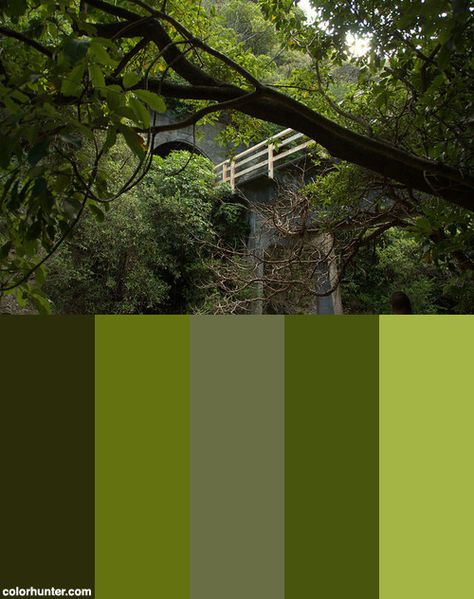 New+Zealand's+Natural+Beauty_aka_paradise/heaven+On+Earth+Color+Scheme New Zealand Colour Palette, Pod Room, Earth Color Palette, Paradise Heaven, Earth Colour Palette, Earth Color, Heaven On Earth, Colour Palette, On Earth