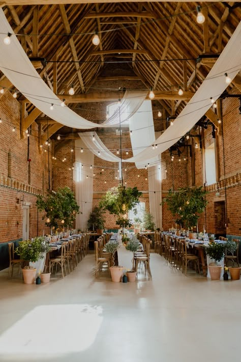 This shows a dining set up in a Godwick Great Barn.There are three long rectangular rows of tables. Above the tables are ivy hanging boards with light bulbs hanging from them. On the tables are white table runners, with terracotta pots of lemon trees, herbs, and black round vases of fresh dandelion flowers. Alongside the greenery are black plates and blue napkins. At the base of the tables are two large terracotta pots, both with twisted olive trees in them. In the middle is a black vase. Wedding In Farmhouse, Rustic French Wedding, Modern Barn Wedding Decor, Olive Dress Wedding, Outside Barn Wedding, Wedding Barn Venue Ideas, Barn Theme Wedding, Modern Farm Wedding, Napa Wedding Venues