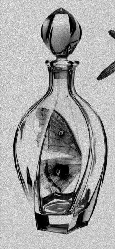 Tattoo Decoration Ideas, Stipple Realism Tattoo, Flash Book Tattoo, Decanter Tattoo, Glass Vase Tattoo, Illustrative Realism Tattoo, Micro Realism Tattoos, Realism Tattoo Flash, Glass Bottle Tattoo