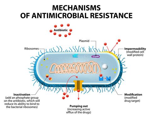 Antimicrobial resistance. Or antibiotic resistance. Main mechanisms by which mic #Sponsored , #Paid, #PAID, #resistance, #mic, #mechanisms, #Antimicrobial Antibiotic Resistance, Antimicrobial Resistance, Current Affairs Quiz, Project Presentation, Viral Infection, Cell Wall, Safe Water, Bacterial Infection, Runny Nose