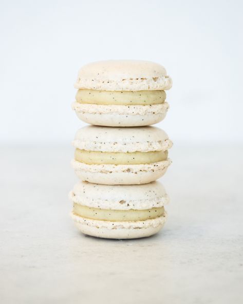 Vanilla Macaroons, Vanilla Ganache, Vanilla Macarons, Chocolate Macaron, Jam Cookies, Vanilla Paste, Macaron Recipe, Great British Bake Off, Egg White