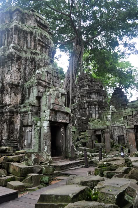 African Temple, Jungle Ruins, South American Rainforest, Old Temple, Jungle Temple, Aztec Ruins, Temple India, Temple Ruins, Stone Temple