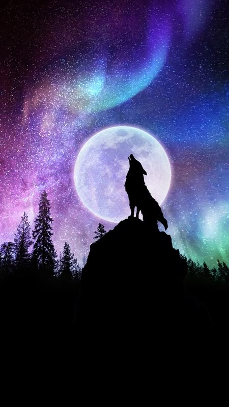 Galaxy Wolf, Wild Animal Wallpaper, Wolf Background, Wolf Photography, Wolf Artwork, Wolf Painting, Fantasy Wolf, Gothic Wallpaper, Wolf Photos