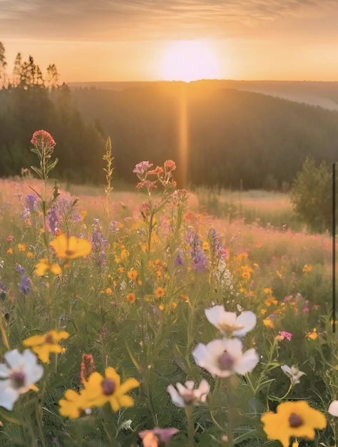 Spring Landscape Aesthetic, Meadows Aesthetic, Happy Pics, Amazing Trees, Nice Photos, Desktop Wallpaper Art, Happy Pictures, Spring Landscape, Spring Wallpaper