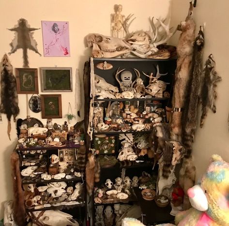 Room Aesthetic White, Bone Collecting, Hippie Bedroom Decor, Oddities Decor, Hippie Bedroom, Taxidermy Art, Vulture Culture, Bone Crafts, Bone Art