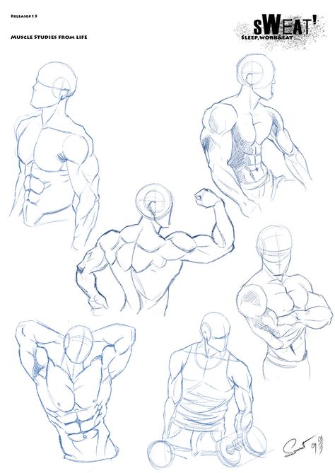 Sweat Release#15: Muscle Studies from Life by DracowormArt Drawing Poses Muscles, Muscly Guy Drawing Reference, Muscle Base Drawing, Body Muscle Anatomy Drawing, Muscle Body Drawing, Sweat Reference, Muscle Poses Drawing, Muscle Art Reference, Muscle Study