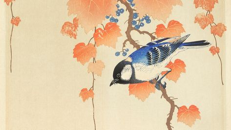 Ohara Koson wallpaper, Japanese desktop background, Great tit on paulownia branch Japanese print | free image by rawpixel.com / Rijksmuseum (Source) Japanese Bird, Japan Illustration, Ohara Koson, Japanese Art Prints, Japanese Wall Art, Japanese Illustration, Antique Illustration, Bird Art Print, Paul Gauguin