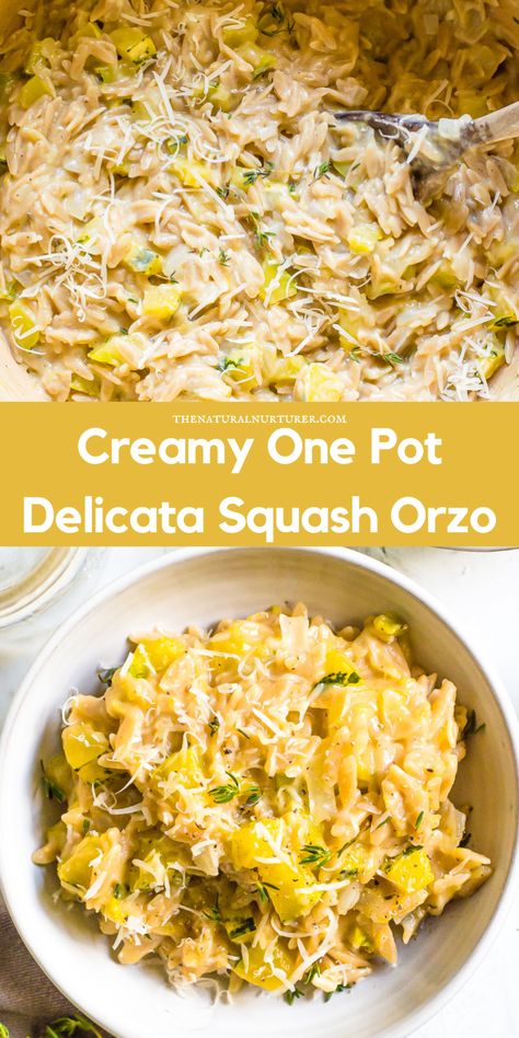 This Delicata Squash Orzo is creamy, flavorful, vegetarian, and made in one pot. It's made in a risotto style, but comes together so much faster. Pasta Squash Recipe, Delicata Squash And Zucchini, Squash Orzo Recipes, Ground Turkey Delicata Squash, Delicata Squash Pasta Sauce, Delicata Squash Risotto, Orzo Squash Recipes, Squash Orzo, Delicata Squash Recipe Main Dishes