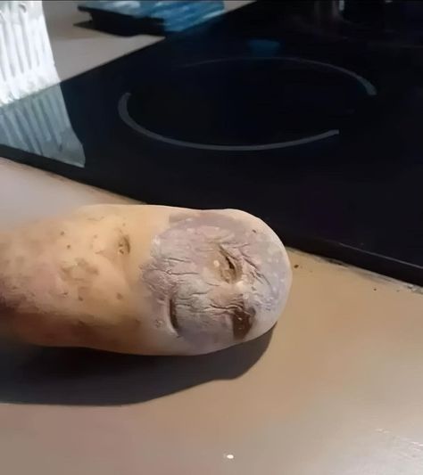 I don’t know if I should cook this potato, or take it to the hospital. 😅 Potato Meme, Potato Funny, Image Meme, How To Cook Potatoes, The Hospital, I Don T Know, Don T Know, Country Life, Gardening Tips