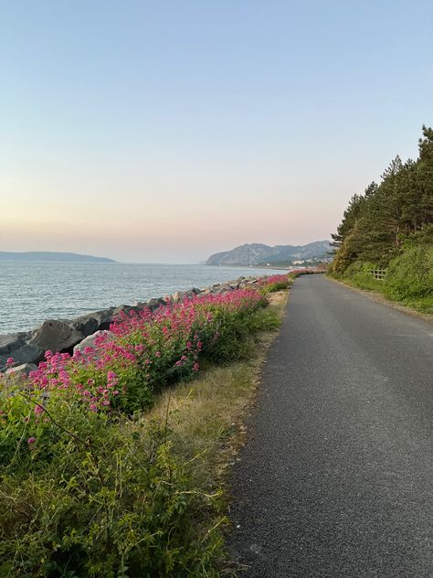 Flowers Beach, Mountain Aesthetic, Mountains Aesthetic, Coastal Life, Ocean Sunset, Beautiful Images Nature, Europe Summer, Coastal Beaches, And So The Adventure Begins