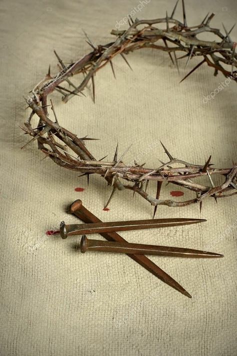 Crown Of Thorns And Nails, Passion Of Christ Images, Purple Cloth, Jesus Crown, Jesus Background, Christian Illustration, Jesus Christ Cross, Cross Nails, Church Media Design