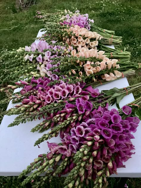 Recap of a Very Bountiful Spring on Our Philadelphia Flower Farm Cut Garden Bouquet, Flower Farm Aesthetic, Flower Farming Aesthetic, Flower Farm Bouquets, Fae Farm Flower Breeding, Farmers Market Bouquet Cut Flowers, Lily Of The Valley Bouquet, Natural Farming, Poppy Pods