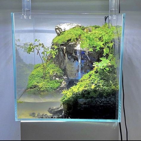 Cube Aquarium, Mini Waterfall, Nature Waterfall, Fish Tank Terrarium, Aquascape Design, Mini Aquarium, Fresh Water Fish Tank, Aquarium Landscape, Moss Garden