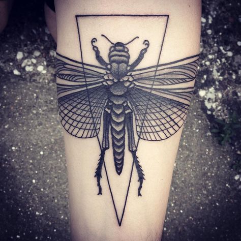 MAIC on Instagram: “Locust action #blacktattoos #london #tattoos @thefamilybusinesstattoo” London Tattoo, Lotus Flower Tattoo, Black Tattoos, Flower Tattoo, Tatting, Illustrations, London, Tattoos, Gifts