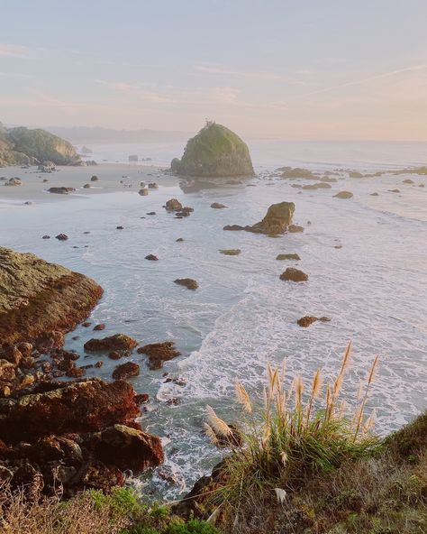 heading up the coast next week & thinking about all the times I’ve explored northern california .. when I first moved to CA almost 6 years ago, I’d go on roadtrips all the time to Big Sur, Point Reyes, and SF.. all places that inspired me so very much and still do — there’s something beautiful and nostalgic about the rocky coastlines and cold winds off the pacific, the redwood forests set upon cliffs above the ocean.. always more breathtaking in person than any photo could ever capture.. I ca... Big Sur Coastline, Point Reyes, Redwood Forest, Big Sur, The Times, Something Beautiful, The Pacific, Northern California, The Coast