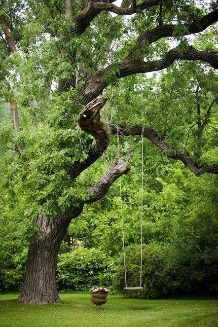 I want to swing on this swing in my backyard Tree Swing, Large Tree, Have Inspiration, Big Tree, Beautiful Tree, Dream Garden, Country Living, A Tree, Secret Garden