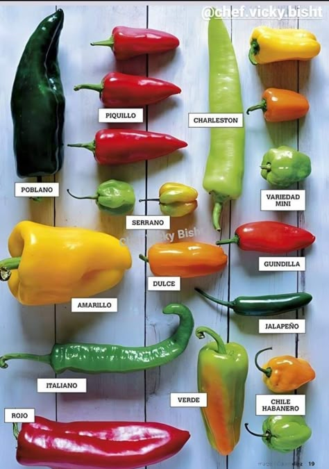 Fruits And Vegetables List, Types Of Peppers, Hot Sauce Recipes, نباتات منزلية, Candy Land Christmas Decorations, Garden Veggies, Food Info, Home Vegetable Garden, Cooking Basics