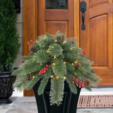 Outdoor planters front door