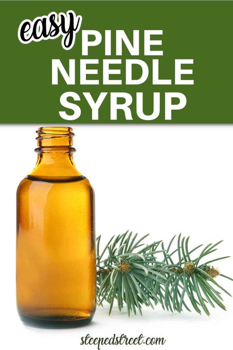 Homemade Pine Needle Syrup - Steeped Street Pine Syrup, Types Of Pine Trees, Simple Syrup Recipe, Simple Syrup Recipes, Cocktail Syrups, Herbal Recipes, Flavored Syrup, Syrup Recipe, Organic Sugar