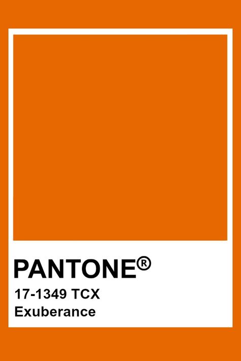 Pantone Exuberance White Pantone, Orange Pantone, Pantone Orange, Pantone Tcx, Fall Collage, Pantone Colours, Pantone Fall, Pantone Swatches, Pantone 2020