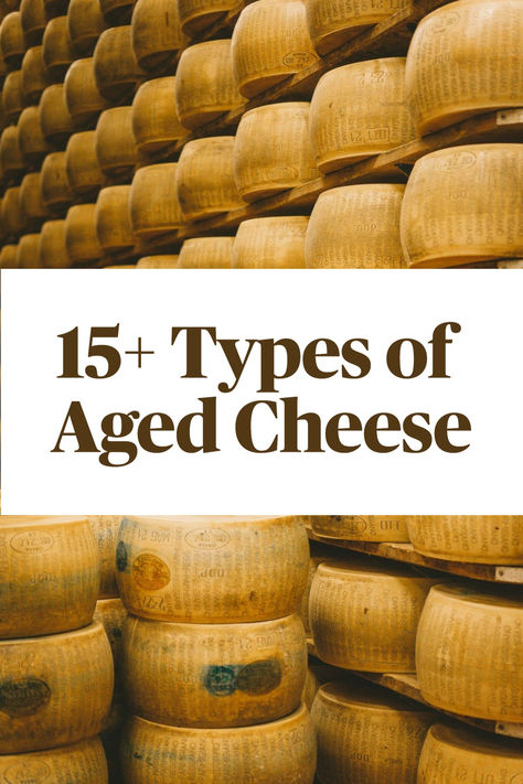 Rows of aged Parmigiano Reggiano cheese wheels stacked on shelves in a storage room, highlighting the aged cheese aesthetic. Cheese Knowledge, Cheese Aesthetic, Cheese List, Wensleydale Cheese, Cheese Names, Aged Cheese, French Cheese, Cheese Making, Italian Cheese