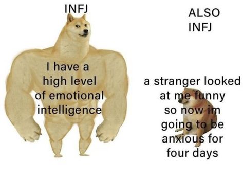 Entp X Infj Memes, Infj Meme Funny, Infj Meme, Entp X Infj, Personalidad Infj, Infj Humor, Infj Things, Infj Problems, Infj Psychology