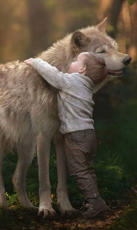 The Boy and the Wolf Regnul Animal, Wolf Stuff, Wolf Love, Wolf Pictures, Beautiful Wolves, Wolf Spirit, A Wolf, Wolf Dog, 귀여운 동물