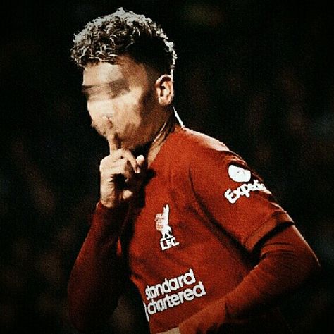 #robertofirmino #pfp #firmino Liverpool Pfp, Bobby Firmino, Football Pfp, Football Pics, Liverpool Wallpapers, Football Pictures, Liverpool Fc, Ronaldo, Liverpool