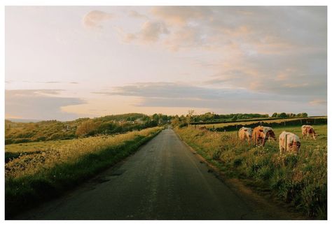 Landscape Photography Aesthetic, Film Photos Landscape, 35mm Landscape, Cinematic Field Photography, Film Photography Mountains, 35mm Film Photography Aesthetic Nature, Field Film Photography, 35mm Film Photography Landscape, Rural Photography