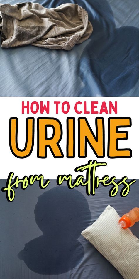 How To Clean A Pee Stained Mattress, How To Get Rid Of Pee Stains On Mattress, Best Way To Clean Pee Out Of A Mattress, Cleaning Pee Out Of Mattress, How To Clean Pee Off Mattress, Get Rid Of Pee Smell On Mattress, Cleaning A Mattress Urine, How To Remove Pee Smell From Mattress, How To Get Pee Stains Out Of Mattress