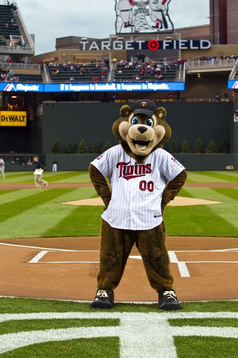 TC Bear - Minnesota Twins mascot. Baseball Mascots, Target Field, Minnesota Twins Baseball, Baseball Room, Twins Baseball, Baseball Stuff, Minnesota Home, At Family, Team Mascots