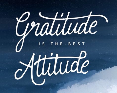 Gratitude is always the best attitude! Gratitude Is My Attitude, Gratitude Is The Best Attitude, Marriage Words, Grateful Thankful Blessed, Good Attitude, Attitude Of Gratitude, Gratitude, Typography, Mindfulness