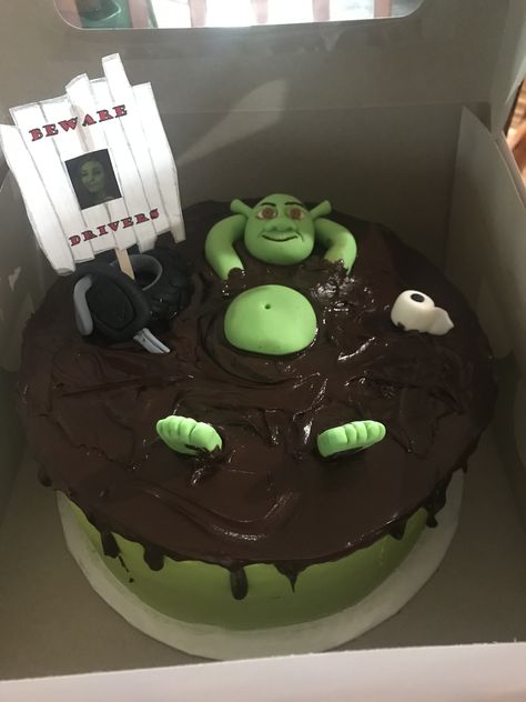 Shrek Cakes Ideas, Funny Shrek Cake, Shrek Birthday Cake Ideas, Shrek Swamp Cake, Cake Ideas 14th Birthday, Shrek Cake Ideas, Shrek Birthday Cake, Swamp Cake, Birthday Cake 13