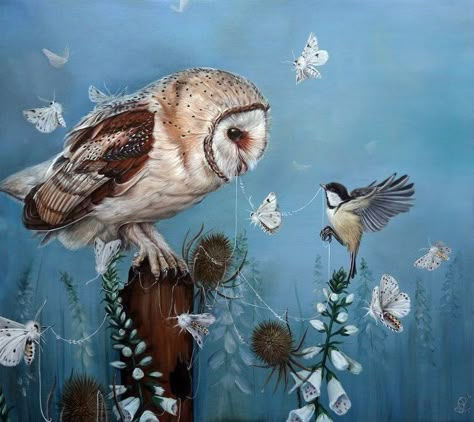 Dewi Plass | By a Thread Quirky Birds, Wildlife Painting, Wildlife Artwork, Owl Pictures, Owl Painting, Owl Art, The Shadows, Wildlife Art, Birds Painting