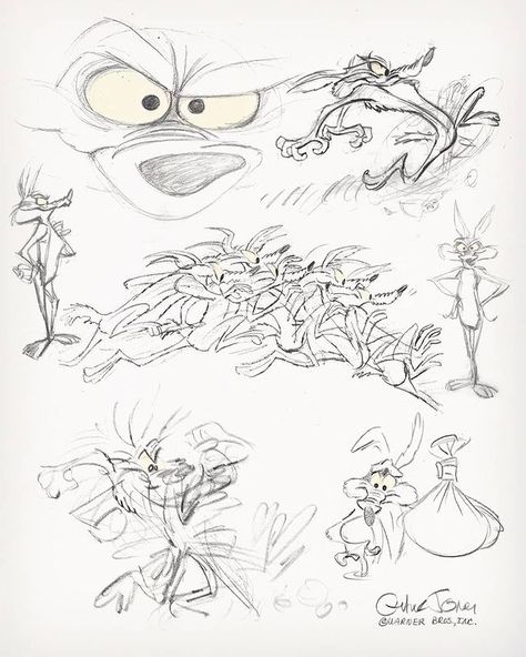 zoz (@zohrehnavidi) • Instagram photos and videos Chuck Jones Sketches, Chuck Jones Drawings, Chuck Jones Art, Animation Drawing Sketches, Cartoon Tutorial, Animation Tips, Animation Disney, American Cartoons, Chuck Jones