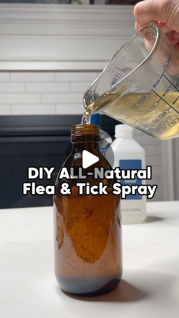 Wood Tick Repellent, Diy Flea And Tick Spray For Yard, Diy Flea And Tick Spray For Dogs, Natural Flea And Tick Repellent For Dogs, Diy Flea Spray For House, Diy Tick Repellent, Flea Remedy For Dogs, Tick Spray For Yard, Flea Spray For House