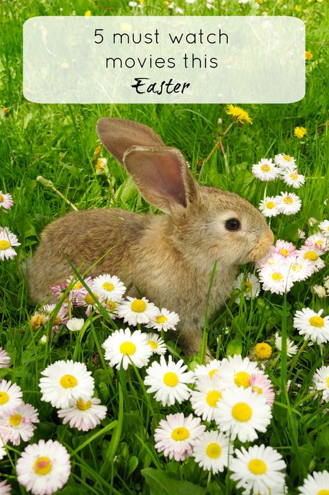 5 must watch movies this Easter Must Watch Movies, Easter Movies, Easter Play, Easter 2023, Easter Menu, Easter Activities For Kids, Easter Games, Easter Art, Easter Crafts Diy