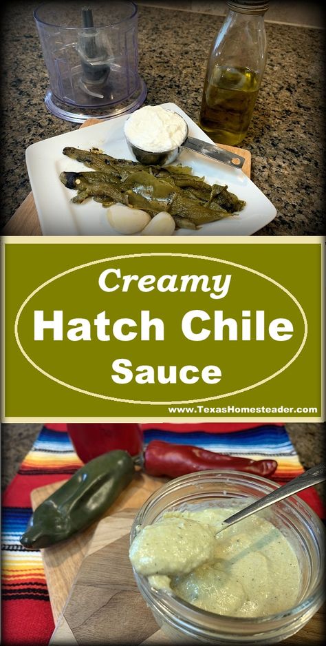 Hatch Chili Sauce Recipes, Creamy Hatch Green Chili Sauce, Hatch Chili Sauce, Hatch Chili Enchilada Sauce, Dried Hatch Chile Recipes, Hatch Chile Sauce, Chili's Ancho Chile Ranch Sauce, Roasted Hatch Chile Recipes, Hatch Chilis