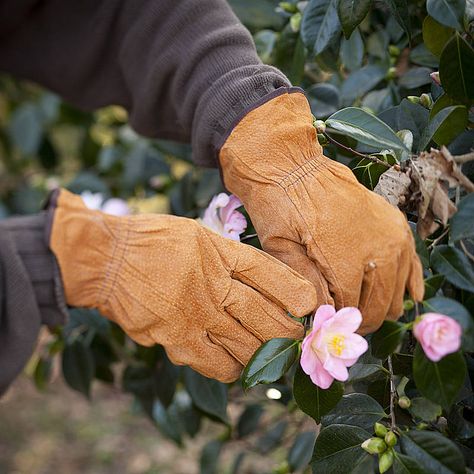 Gardening Essentials, Wet Leaves, Gloves Aesthetic, Gauntlet Gloves, Duluth Trading Company, Gardening Outfit, Gardening Gloves, Duluth Trading, Work Gloves