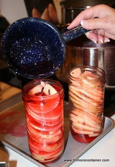 Spiced Apple Rings, Spiced Apples Recipe, How To Make Fermented Foods, Apple Canning, Pickled Apples, Pickled Peaches, Best Salsa Recipe, Apple Sign, Pickled Fruit