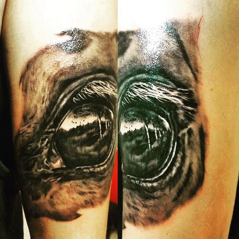 Stunning horse eye tattoo by @madconnytattoo Horse Eye Tattoo, Tattoo Horse, Horse Tattoos, Cool Nature, Floral Tattoos, Horse Eye, Art Horse, Watercolor Horse, Horse Tattoo