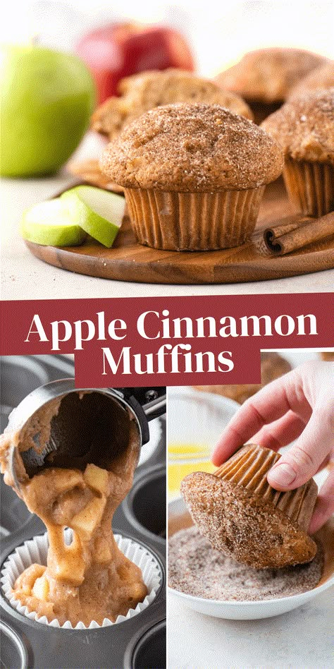 Apple Cinnamon Muffins With Apple Pie Filling, Apple Cinnamon Chip Muffins, Muffin Apple Cinnamon, Chocolate Apple Muffins, Recipes Using Cooking Apples, Apple Cinnamon Breakfast Muffins, Apple Muffins Recipes Easy, Moist Apple Cinnamon Muffins, Gf Apple Cinnamon Muffins