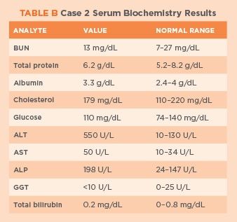 Kidney Function Test, Liver Function Test, Acid Base Balance, Nursing Student Tips, Liver Function, Diagnostic Imaging, Bile Duct, Brain Science, Medical Studies