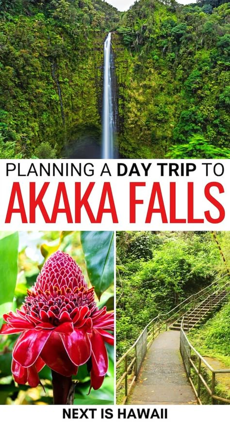 How to Visit Gorgeous Akaka Falls State Park (+ Map) Waimea Falls Oahu, Hahatonka State Park, Hawaii Camping, Akaka Falls Hawaii, Sacred Falls Oahu, Manoa Falls Oahu, Big Island Hawaii Hotels, Hawaii 2023, Akaka Falls