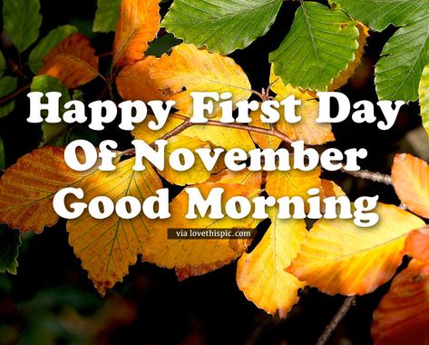 Happy First Day Of November, Good Morning good morning good morning quotes november quotes november 1 first day of november happy first day of november november 1st quotes good morning first day of november Happy New Month Images, Happy First Day Of November, Goodbye November, Happy New Month Messages, First Day Of November, November Pictures, Good Morning Facebook, November Quotes, Good Morning Beautiful Gif