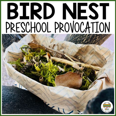 Bird Preschool, Build A Bird Nest, Play Dough Invitation, Bird Invitation, Preschool Library, Pre-k Science, Outdoor Play Space, Playdough Activities, Diy Bird Feeder