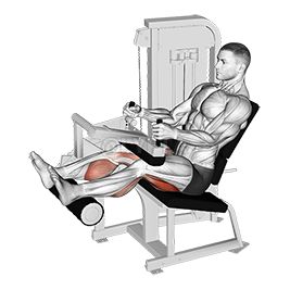 Exercise Library | Lyfta Personal Training Workouts, Muscle Building Workout Plan, Captains Chair, Leg Workouts Gym, Gym Workout Guide, Workouts Gym, Leg Workouts, Abs Workout Gym, Gym Gifts