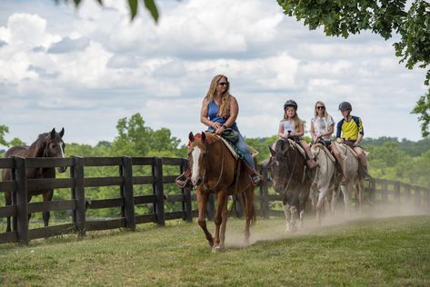 Horse Riding Lessons, Kentucky Horse Park, Carriage Driving, Equestrian Events, Horse Dressage, Pony Rides, Riding Lessons, Farm Tour, Lexington Kentucky